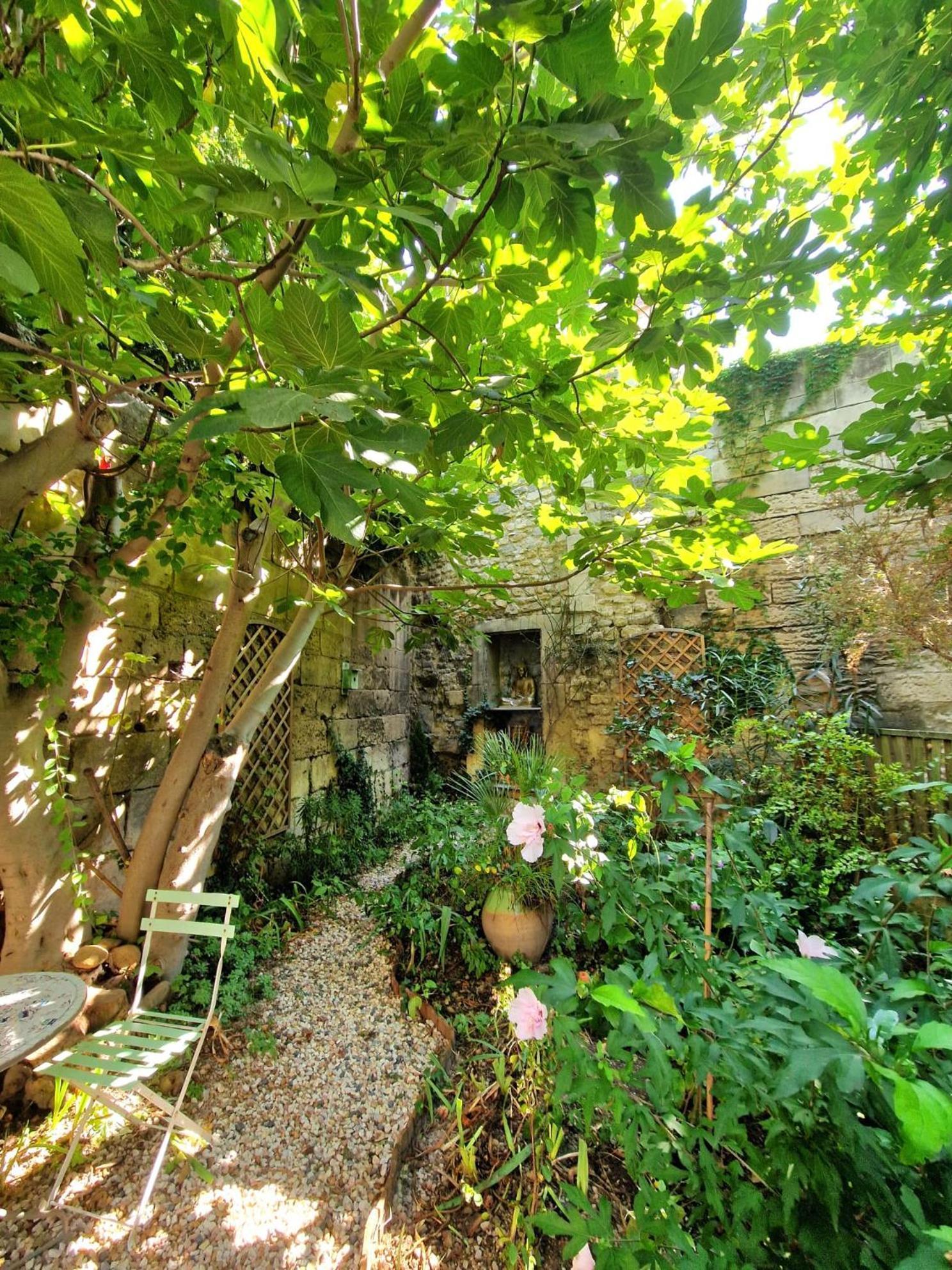 Capucines, Un Jardin Secret Dans Le Centre Historique Daire Arles Dış mekan fotoğraf